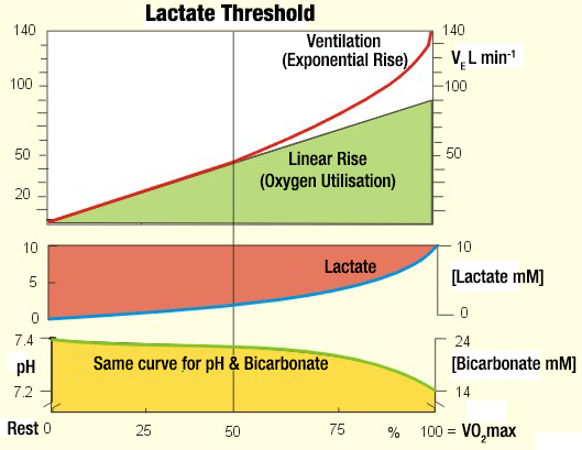 Anaerobic-threshold-+-ventilation-+-bicarbonate Anaerobic-threshold-+-ventilation-+-bicarbonate