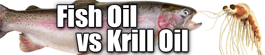 Fish Oil vs Krill Oil - Mr Supplement Australia