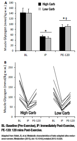 glycogen resynthesis You have free access to this content muscle glycogen resynthesis, signalling and metabolic responses following acute exercise in exercise-trained pigs carrying the. glycogen resynthesis You have free access to this content muscle glycogen resynthesis, signalling and metabolic responses following acute exercise in exercise-trained pigs carrying the.
