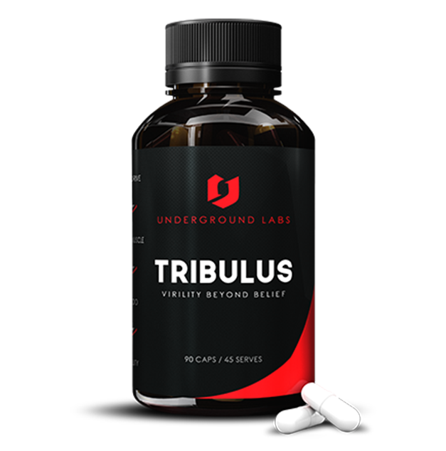 When to Take Tribulus Mr Supplement Australia