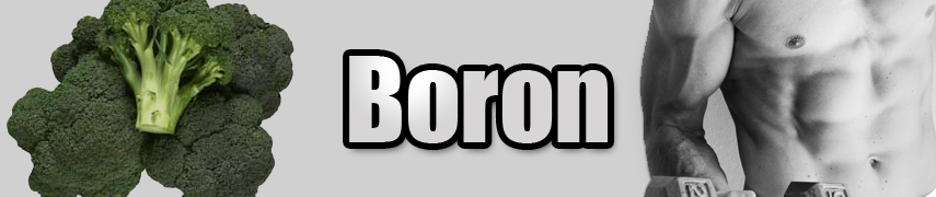 Boron Uses, Benefits, Deficiency & Facts - Mr Supplement Australia