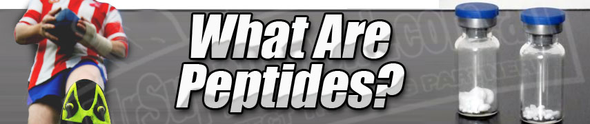 Muscle Buildign Tips From The Top Pros what_are_peptides