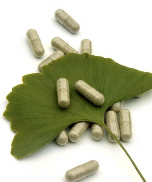 ginkgo-biloba.jpg