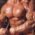 Lean Vs Bulk