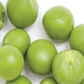 pea protein vs whey