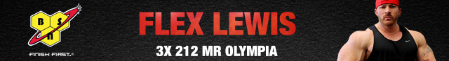 Flex Lewis Banner