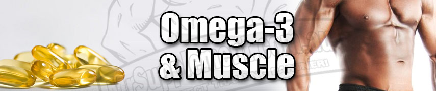 Omega-3's and Muscle - MrSupplement.com.au