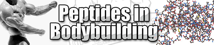 peptides-bodybuilding.jpg