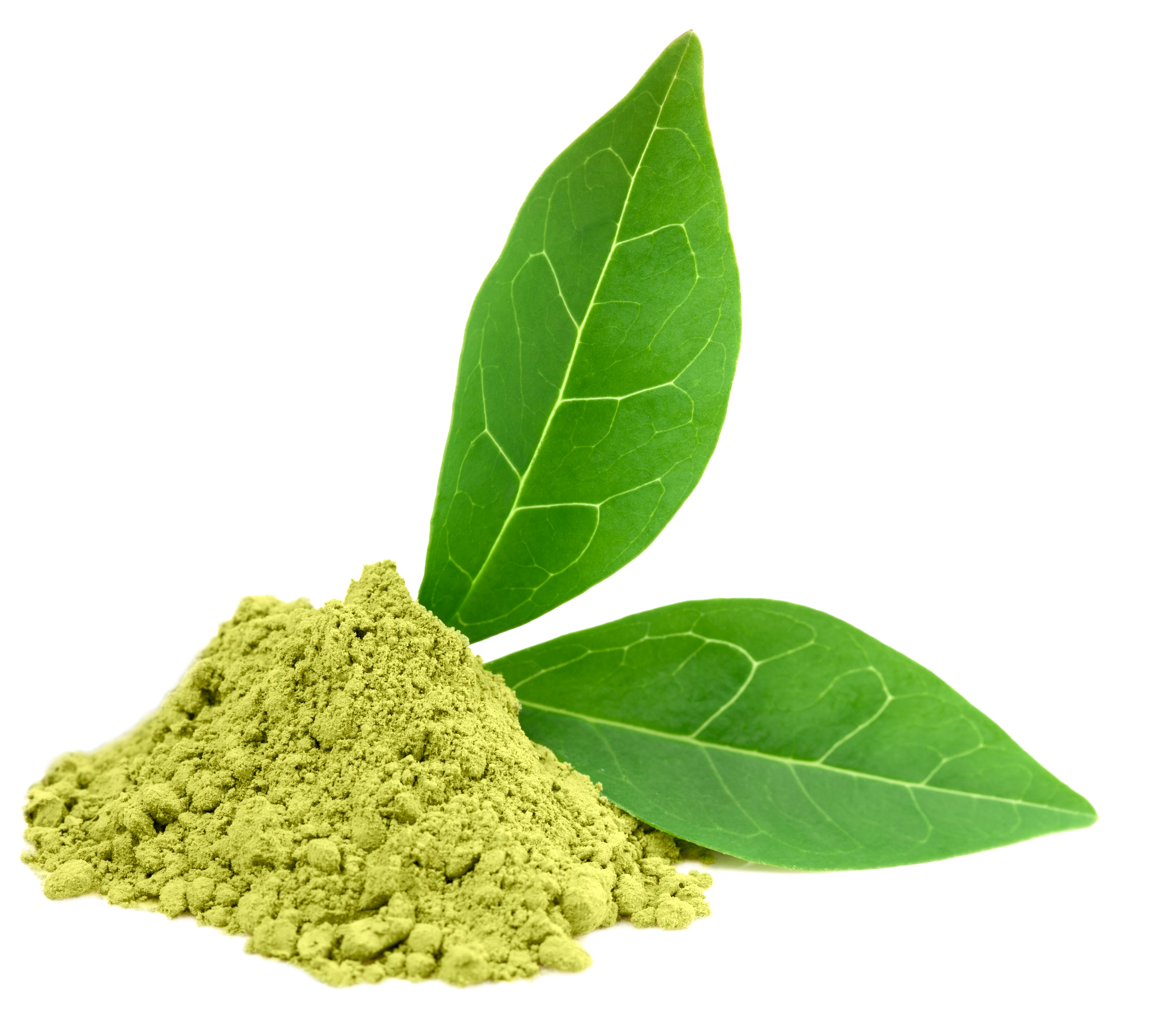 Is Green Tea Extract Toxic? - Mr Supplement Australia