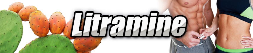 Litramine - Mr Supplement Australia Litramine - Mr Supplement Australia