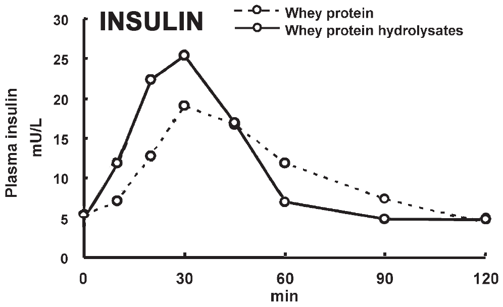 Does Whey Protein Increase Insulin Resistance Peptides by Elemental Nutrition | Peptide Amino Acids