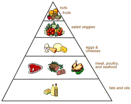 Endomorph Training Guide - MrSupplement.com.au