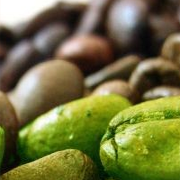 Food you must not eat to lose weight image 6