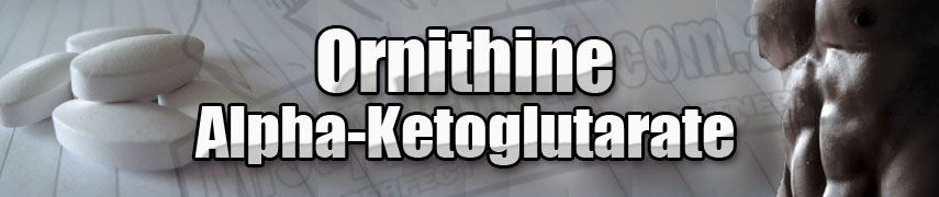 Ornithine Alpha-Ketoglutarate